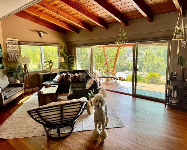 The image shows a living room with wooden beams, large glass sliding doors, a stylish couch, and a decorative poodle statue standing on a rug.