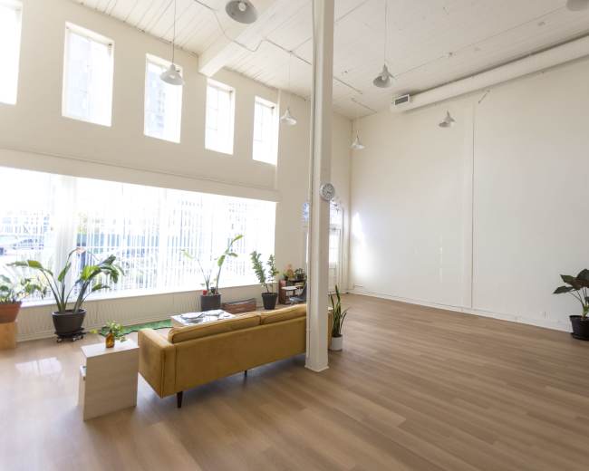 The image shows a spacious, well-lit room with large windows, wooden flooring, a yellow couch, and several potted plants.