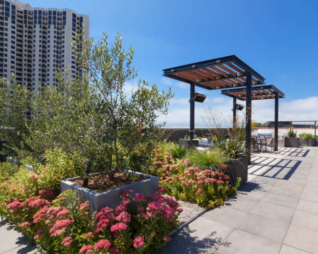 A rooftop garden features modern seating areas, lush greenery, and vibrant flowering plants against a backdrop of a high-rise building and clear blue sky.