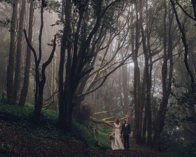 A couple walks hand in hand through a misty forest filled with tall trees.
