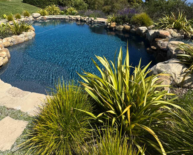 A clear swimming pool is surrounded by stone landscaping and lush greenery under a clear blue sky.