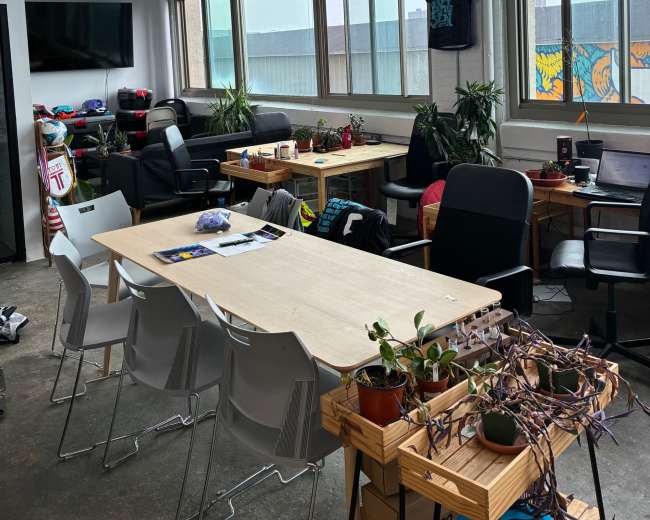 The image shows a modern office space with a large wooden table surrounded by chairs, notable houseplants on tables, and windows that let in natural light.