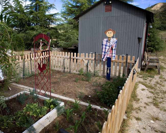 A wooden-fenced garden features a scarecrow, crops, and a decorative windmill against the backdrop of a gray shed.