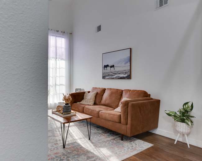 A leather couch with throw pillows is positioned in a bright living room next to a coffee table, with a large wall art piece and a potted plant nearby.