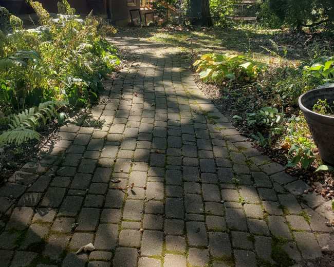 A cobblestone pathway leads through a garden area, lined with greenery, towards a wooden house and a chimney in the background.