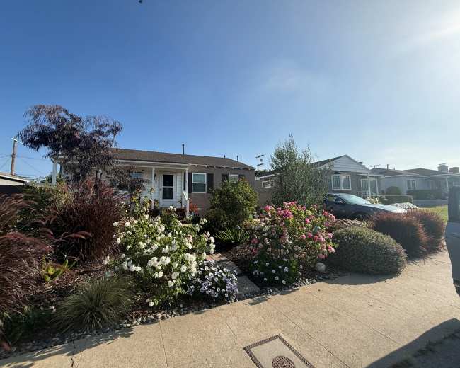 A single-story house with a front garden featuring various flowers and shrubs is visible, along with parked cars on the street.