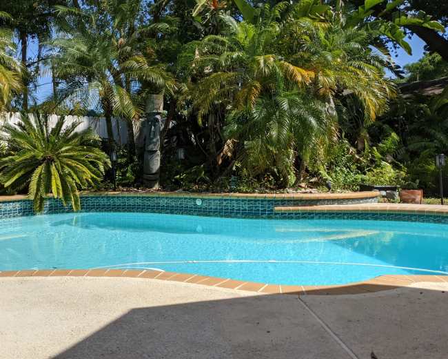 The image shows a swimming pool surrounded by lush greenery, featuring palm trees and various tropical plants.