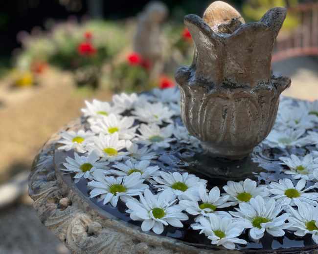 A decorative stone fountain topped with a floral arrangement of white daisies floats on its surface.