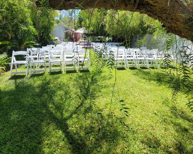 A row of white chairs is set up on a green lawn under a tree in a garden setting.