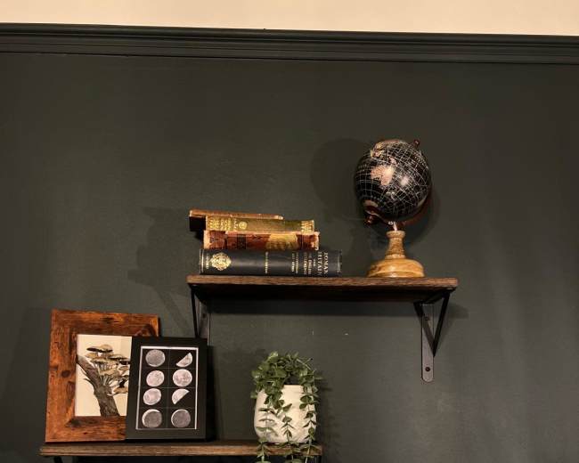 The image displays two wooden shelves mounted on a dark green wall, one holding a globe and old books, and the other featuring a framed print and a potted plant.
