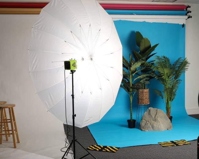 A photography studio setup with a large white umbrella light, a blue backdrop, tropical plants, a rock prop, and wooden stools.