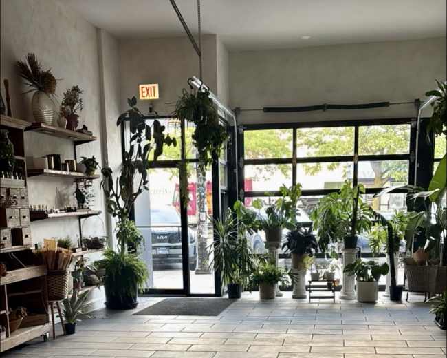 The image shows a bright shop interior filled with various potted plants and a large glass entrance.