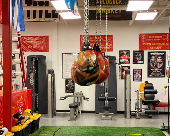 The image shows a gym interior featuring a heavy punching bag suspended from a ceiling, with agility ladders laid out on the turf floor.