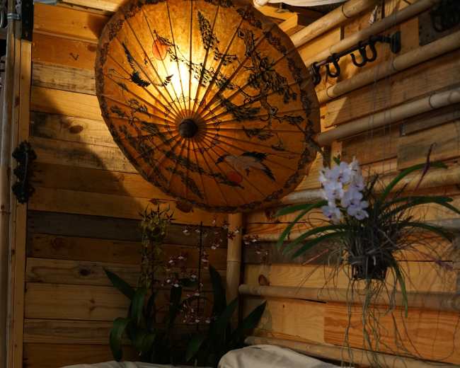 The image shows a cozy wooden interior with a sofa covered in a light fabric, an ornate parasol hanging above, and potted plants positioned nearby.