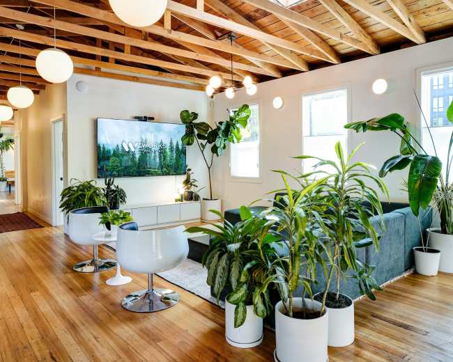 The image shows a modern, open living space with a gray sofa, LED television mounted on the wall, and various indoor plants arranged in white pots.