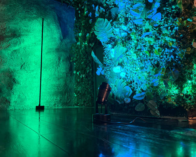 The image shows a dark room with a green and blue illuminated wall featuring artificial plants, alongside a tall, slender lamp and a spotlight on the floor.