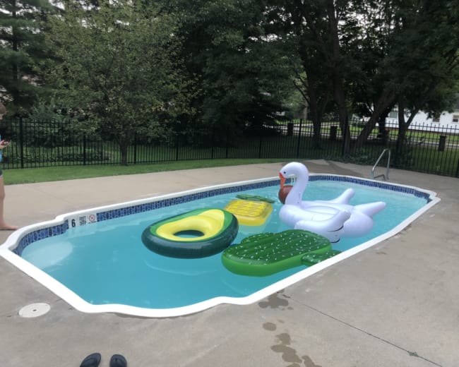 The scene features a swimming pool with a white swan float and other colorful inflatables on the water, surrounded by a fenced backyard.