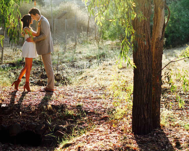 A couple stands closely together in a sunlit clearing surrounded by trees, sharing an intimate moment.