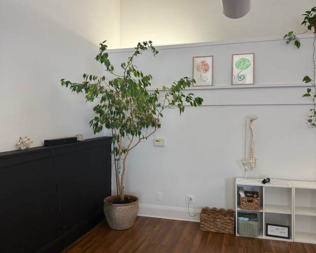 The image shows a simple interior of a room featuring a potted plant, a wall shelf with framed artworks, and a storage unit against a wooden floor.