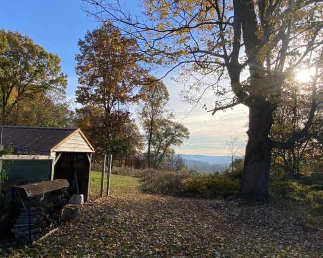 The image features a rural scene with a shed and a landscape of autumn trees and fallen leaves under a clear blue sky.