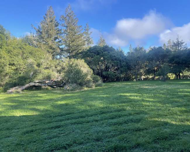 The image shows a lush green field surrounded by trees under a partly cloudy blue sky.