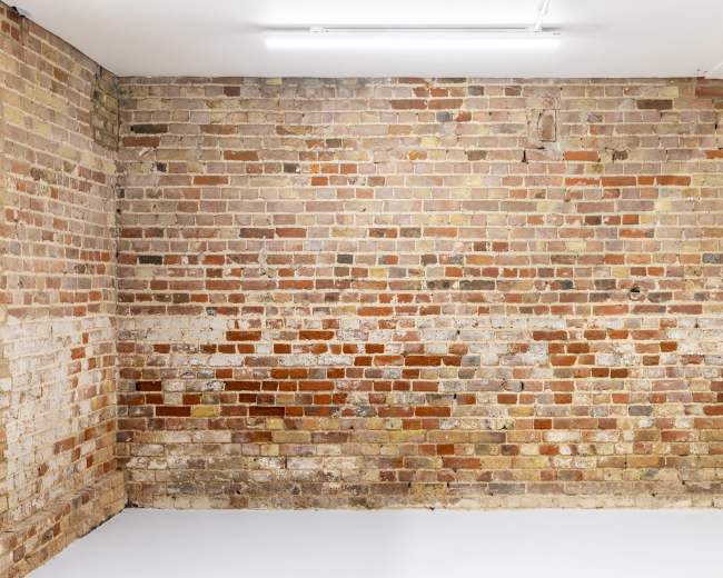 The image features a bare, brick wall with a mix of red and tan bricks in a well-lit space.