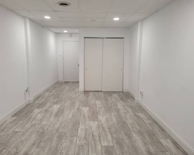 A vacant room with light gray wood-style flooring and a white wall, featuring a closed closet door at the far end.