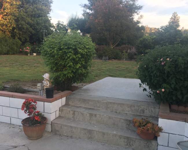The image shows a concrete patio with steps leading up to a grassy area bordered by shrubs and trees.