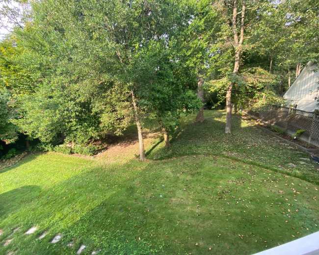 The image shows a grassy yard with trees and a winding pathway, bordered by a wooden deck on one side.