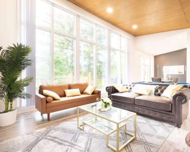 The room features large windows that allow natural light to flood in, highlighting a mixture of modern and classic furniture, including a brown leather sofa and a glass coffee table.