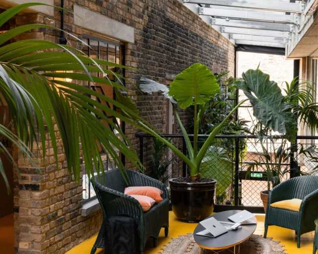 A bright, modern indoor space with green plants, wicker furniture, and a large potted palm on a yellow floor.
