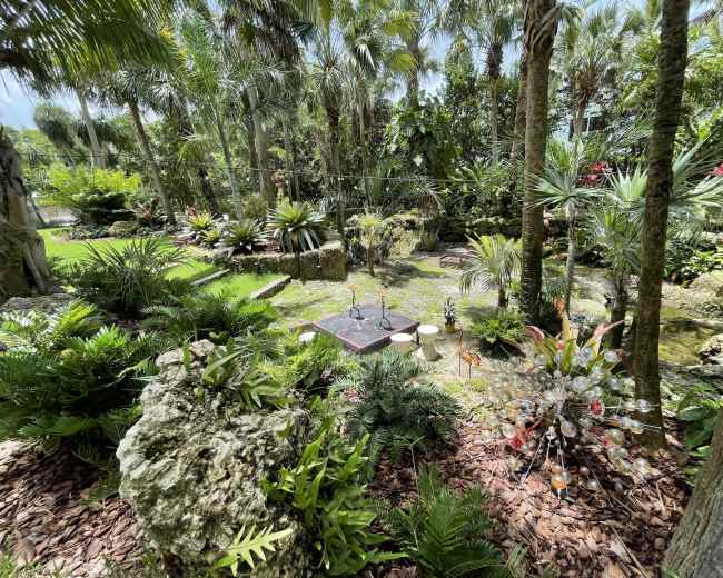 A lush tropical garden filled with various plants, palm trees, and a small seating area with a table in the center.