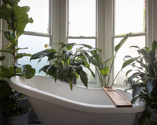 A freestanding bathtub surrounded by various potted plants is positioned near large windows with light filtering through.