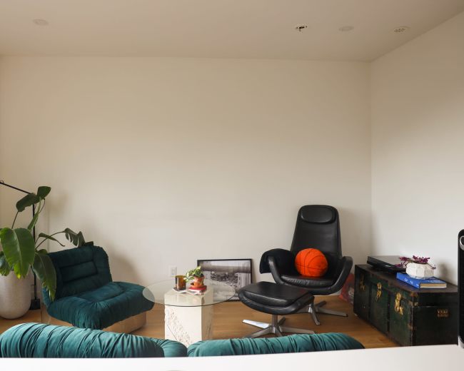 A modern, minimalist living space with two green chairs, a black lounge chair, a glass coffee table, and a large houseplant in a corner.