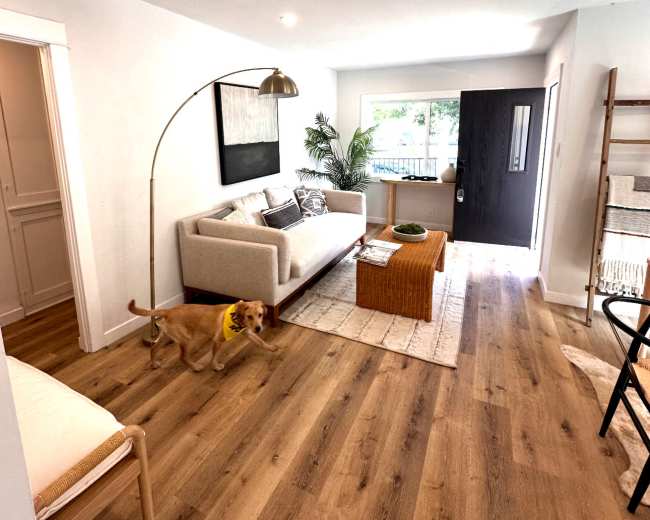 A bright living room features a sofa, coffee table, and a large window, with a dog walking on the wooden floor.