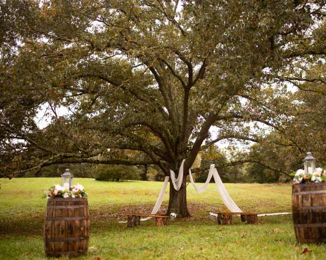 A wedding setup featuring a decorated area beneath a large tree, with white drapes and floral arrangements on wooden barrels.