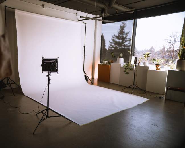 A photography studio features a white backdrop and soft lighting equipment, surrounded by potted plants and natural light from large windows.