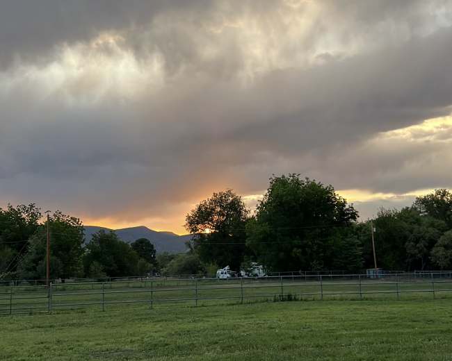 The image shows a grassy field with a sunset behind dark clouds and trees in the background.
