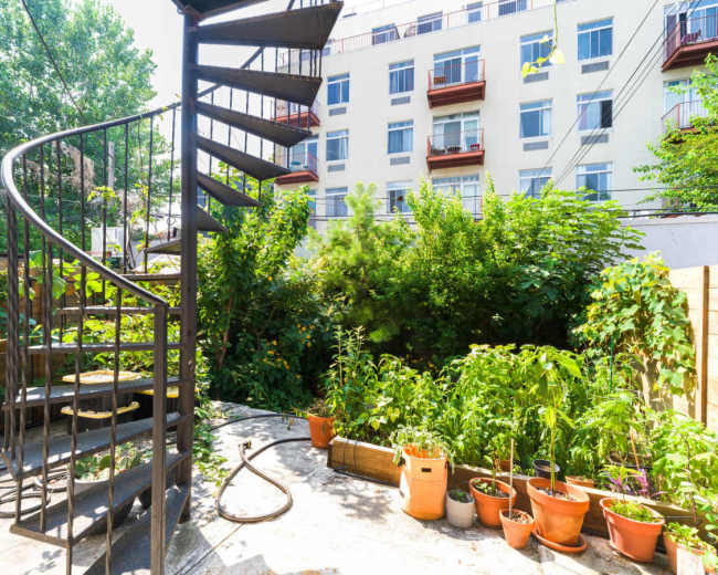The image shows a spiral staircase beside a lush garden filled with potted plants and greenery, with a multi-story building in the background.