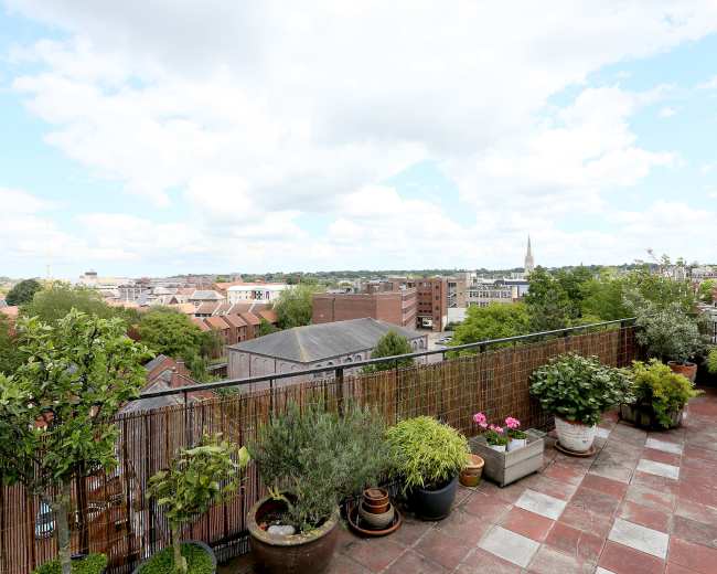 A rooftop terrace with various potted plants overlooks a city skyline under a cloudy sky.