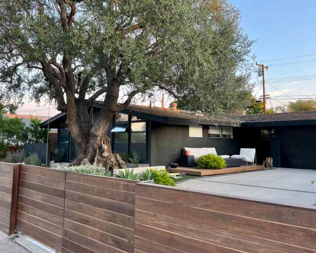 A modern house with large windows is shaded by a large tree and surrounded by a wooden fence.