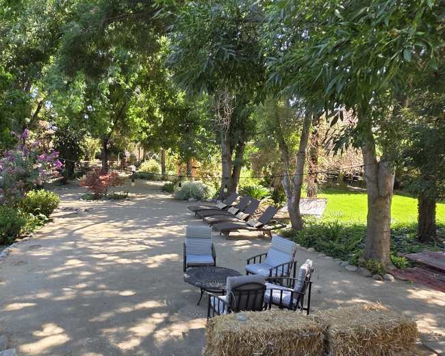 The image depicts a shaded outdoor area featuring a dirt path, lounge chairs, and a small seating arrangement surrounded by greenery and flowering plants.