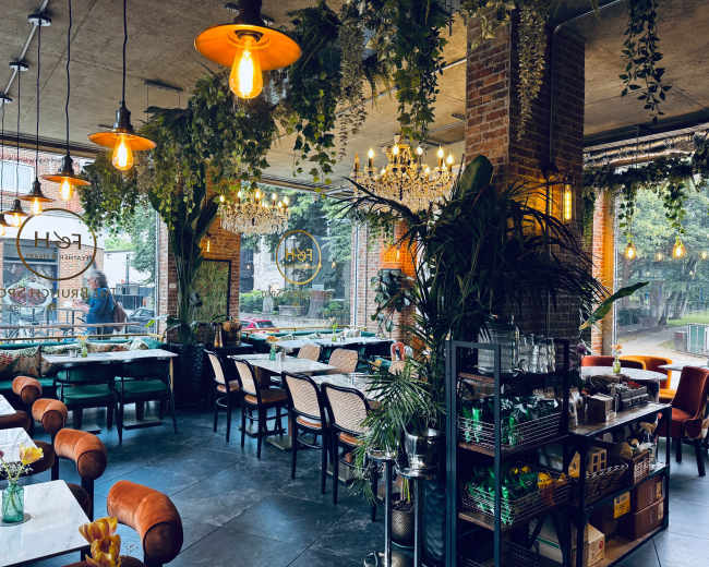 The image shows a well-decorated restaurant interior with plants, hanging lights, and various seating areas overlooking a view outside.