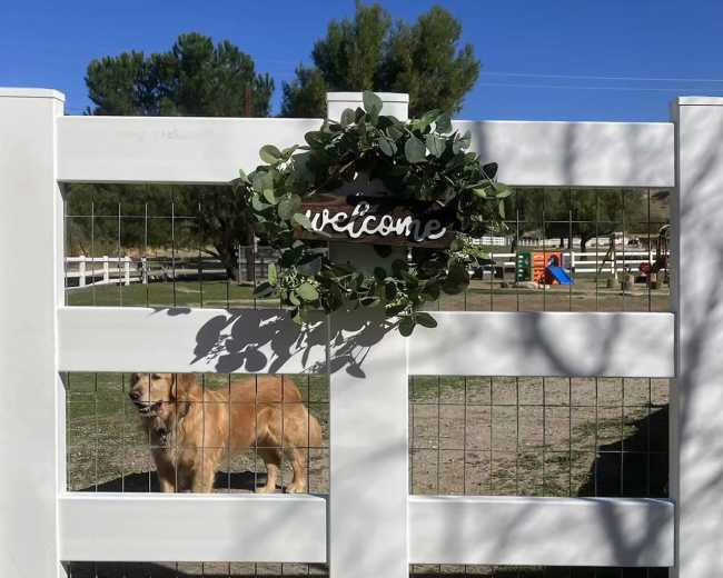 A golden retriever stands beside a white gate adorned with a wreath that says "welcome."
