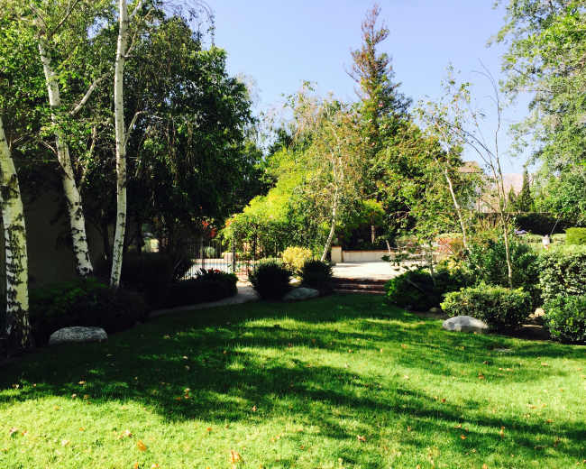 A grassy area is bordered by trees and bushes, with stones scattered on the lawn, leading to a paved path in the background.