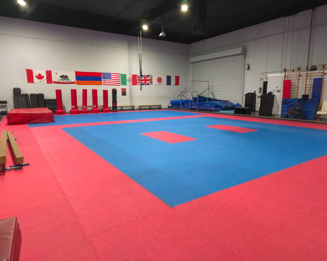 The image shows a martial arts training facility with a blue and red padded floor, wall flags from various countries, and training equipment along the sides.