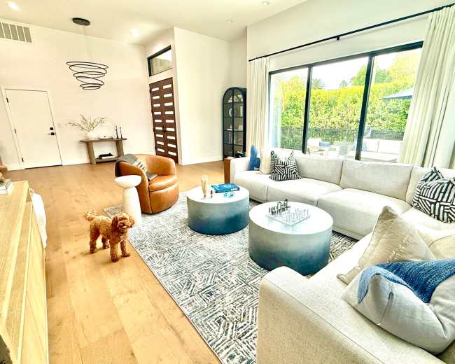 A modern living room features a light-colored sectional sofa, a round coffee table, a patterned rug, and a wooden chair, with a poodle standing on the floor.