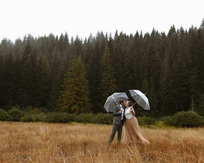 A couple stands together in a field of tall grass under transparent umbrellas, surrounded by towering evergreen trees.