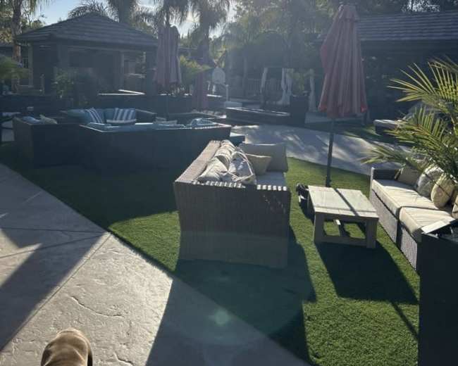 The image shows a sunny outdoor pool area with lounge furniture, palm trees, and patio umbrellas.