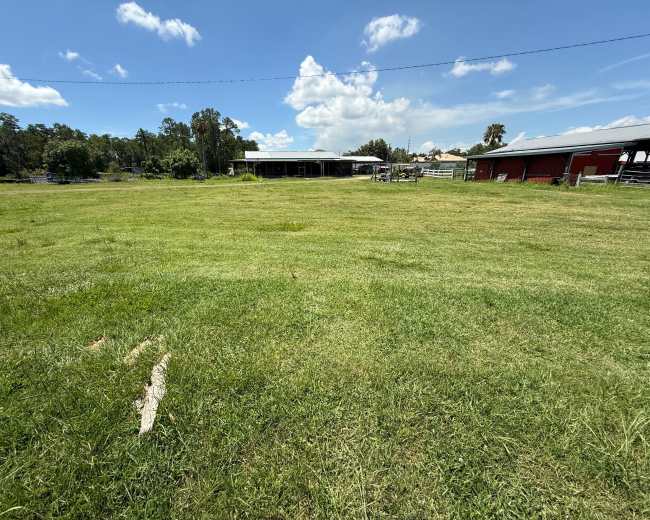 The image shows a wide expanse of green grass in a field with several structures, including barns, in the background under a partly cloudy sky.